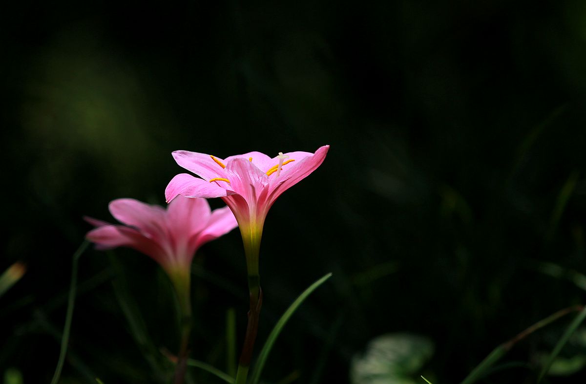 IMG_4489_副本.jpg
