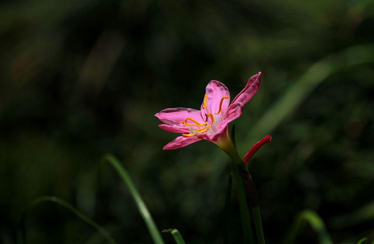 IMG_4483_副本.jpg