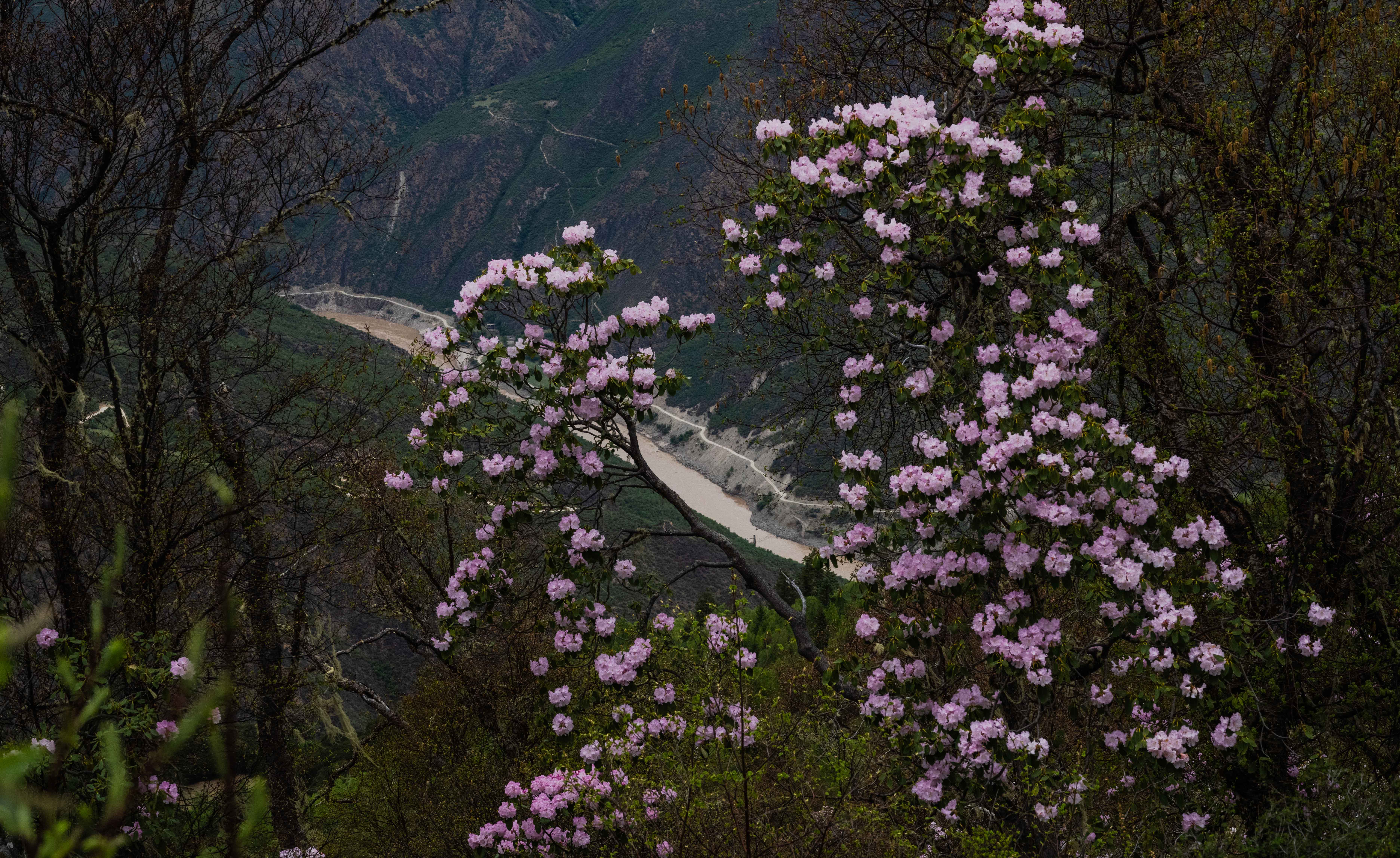 11DSC_1141.jpg