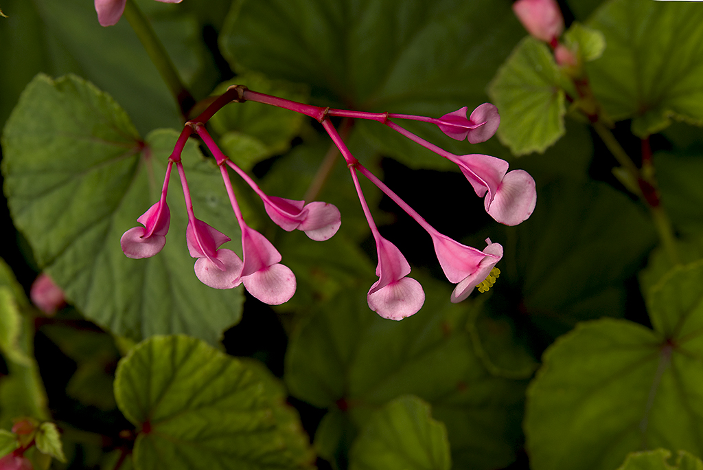 IMGP2596副本.jpg