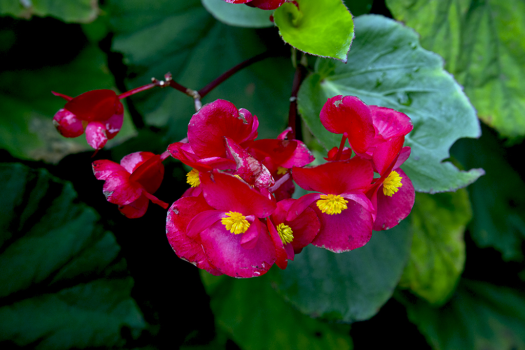 IMGP2617副本.jpg