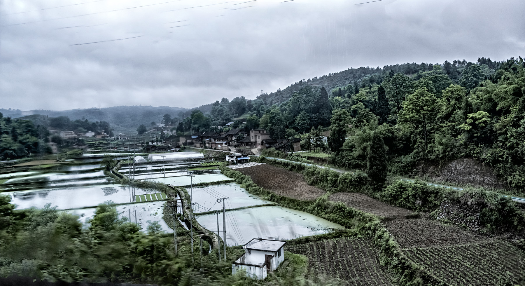 DSC_3694-1.jpg
