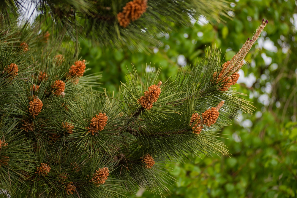 DSC_6959副本2.jpg