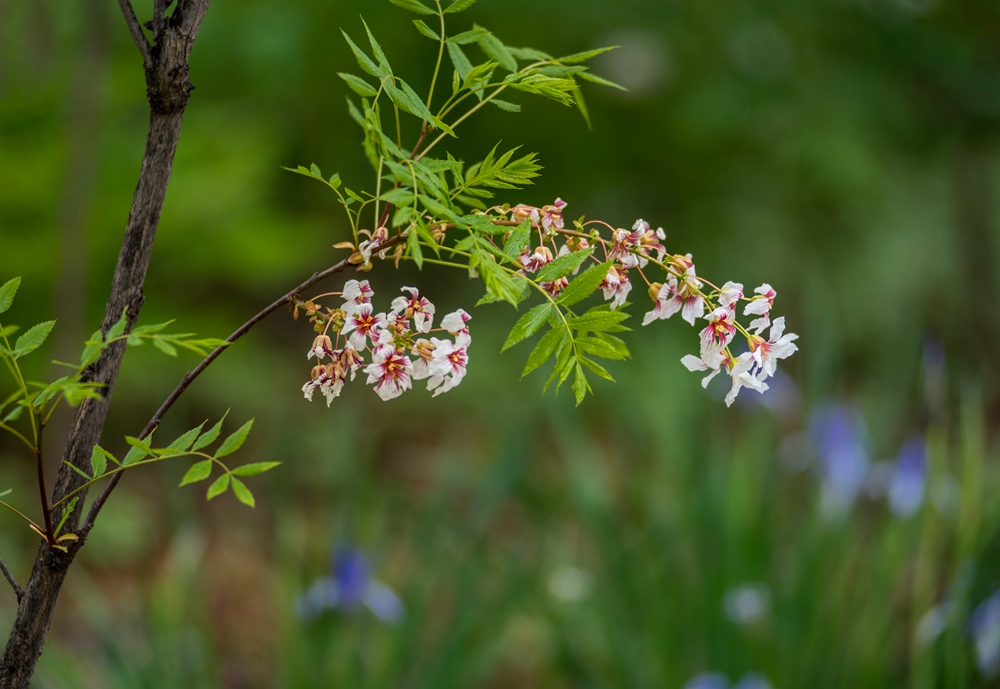 DSC_6958副本1.jpg