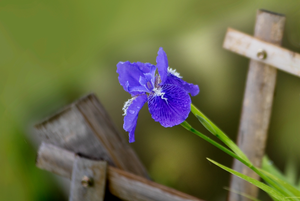 DSC_6944副本5.jpg