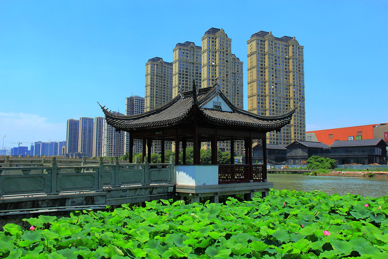 IMG_5956_副本.jpg