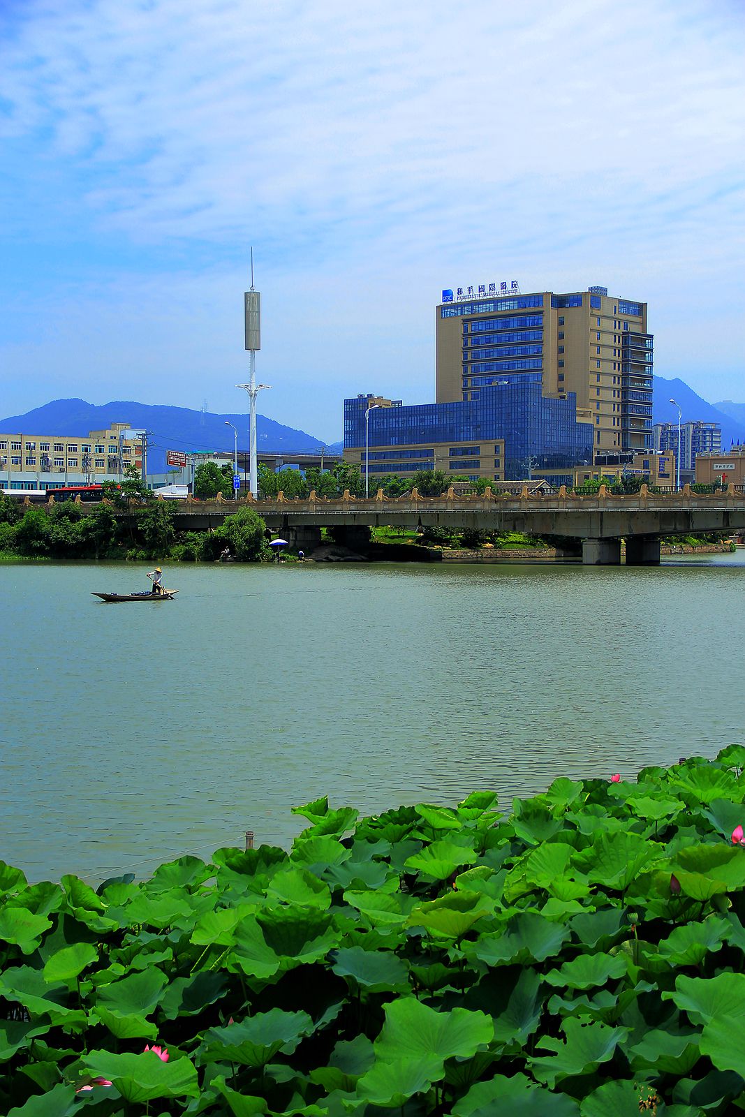 IMG_5947_副本.jpg