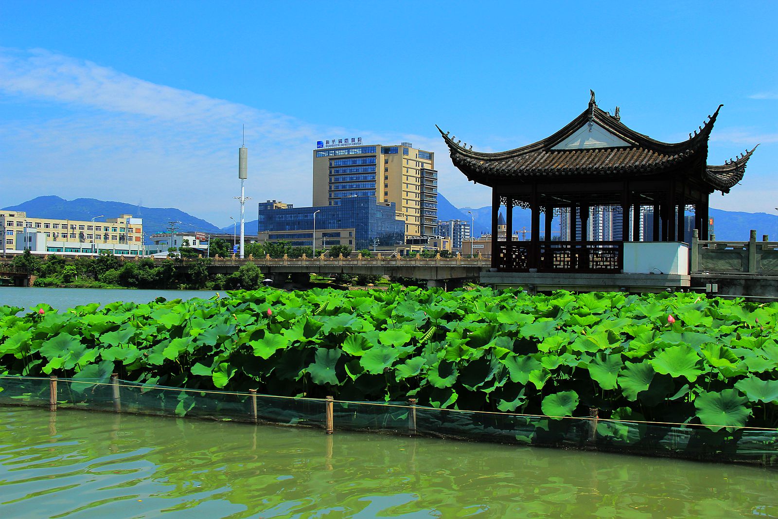 IMG_5984_副本.jpg