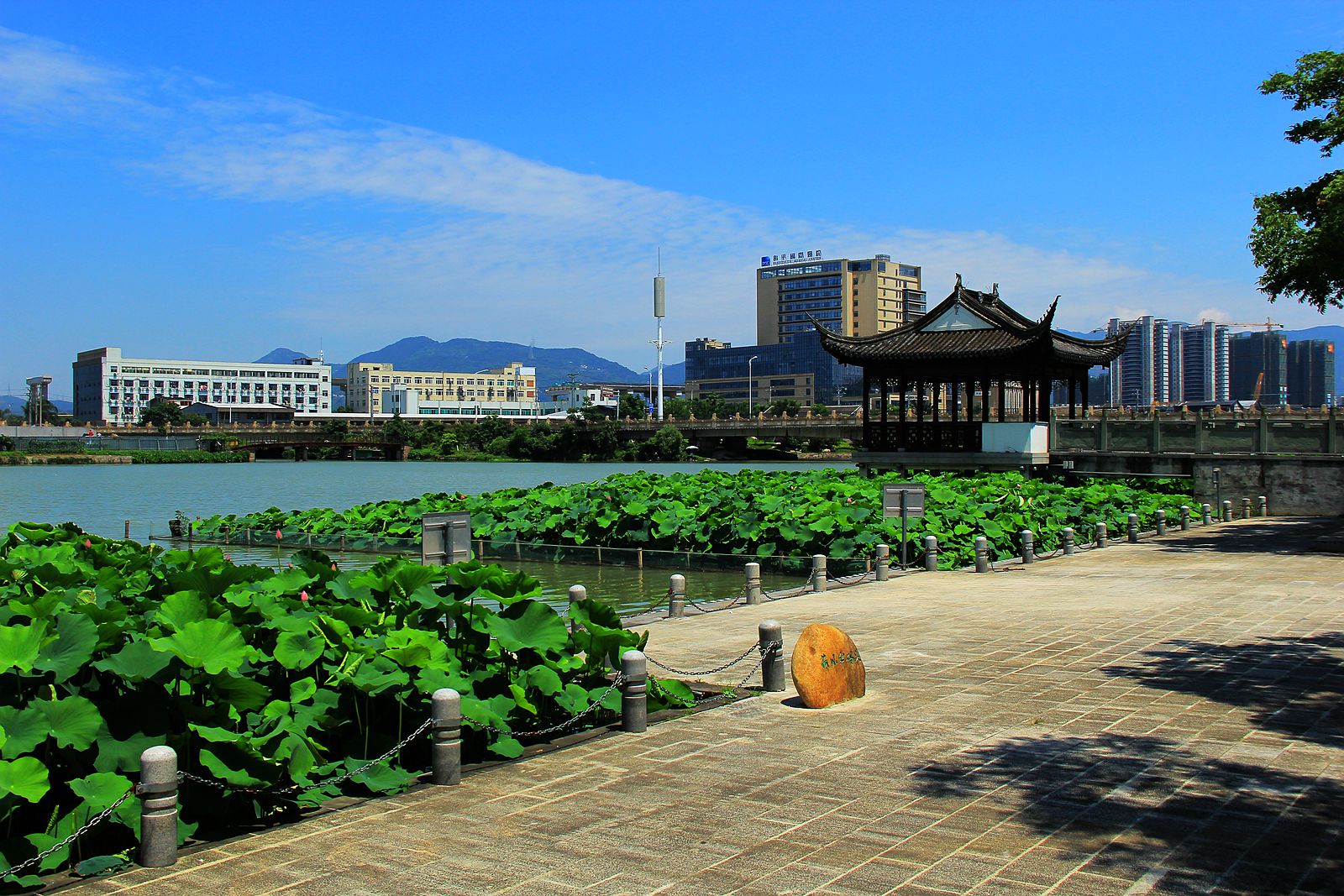IMG_5981_副本.jpg