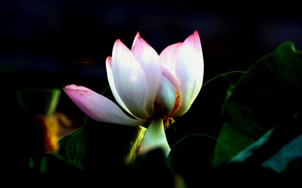 DSCF7656.JPG