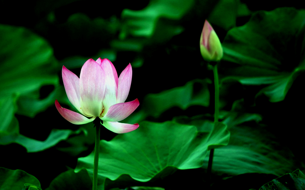 DSCF8267.JPG