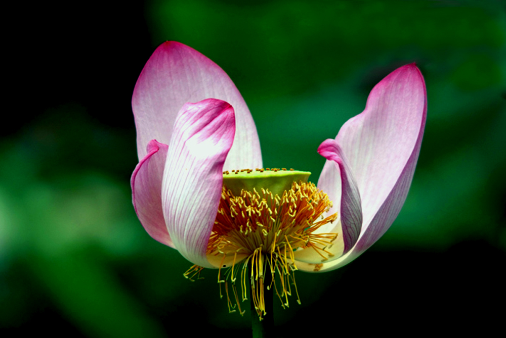 DSCF8281.JPG