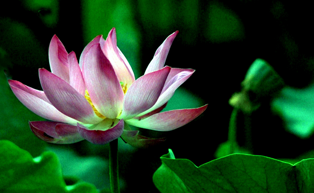 DSCF8431.JPG