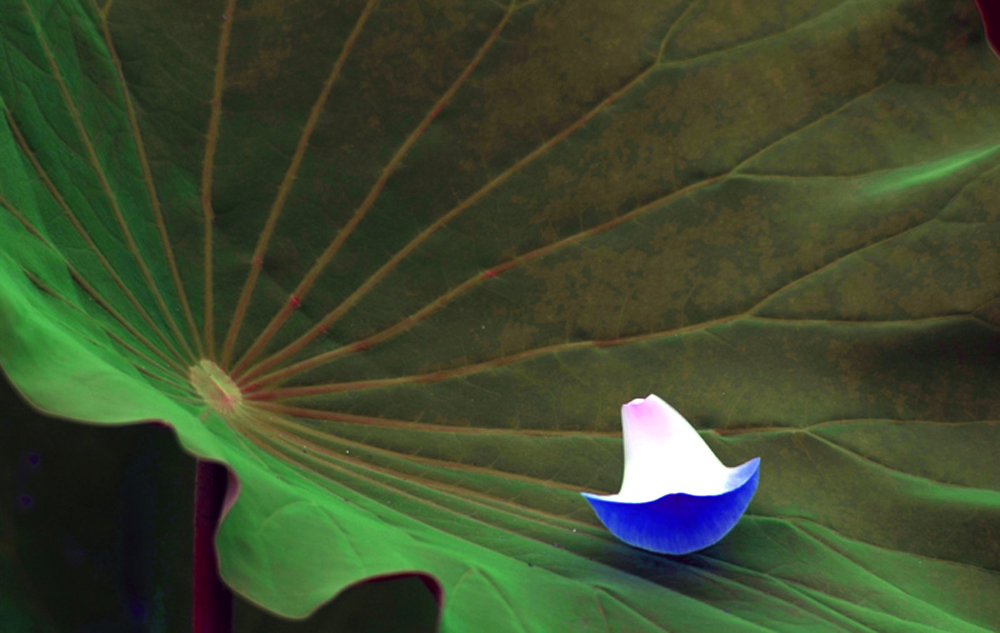 DSCF8542.JPG