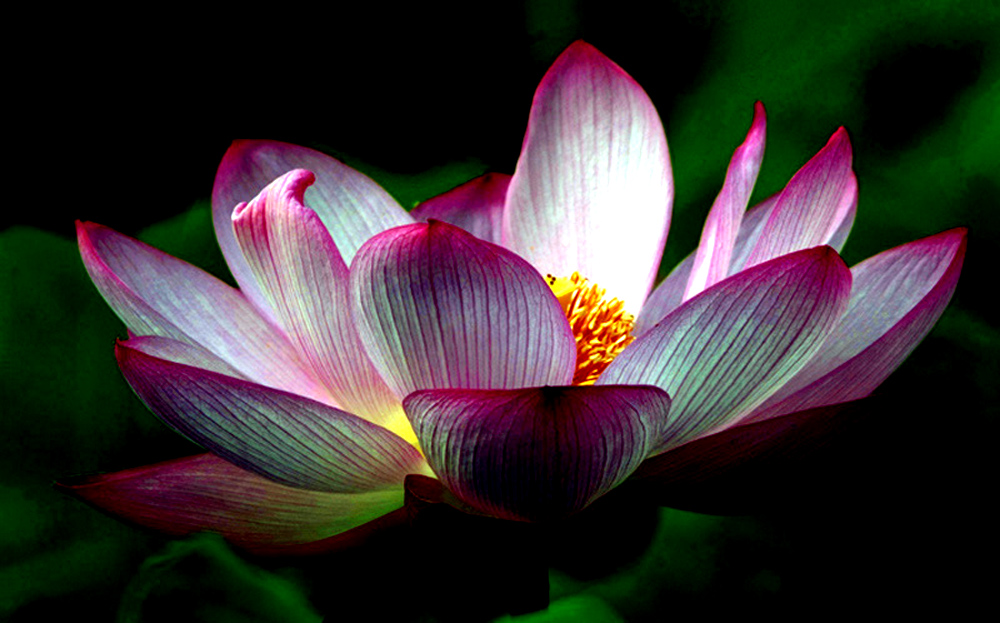 DSCF8643.JPG