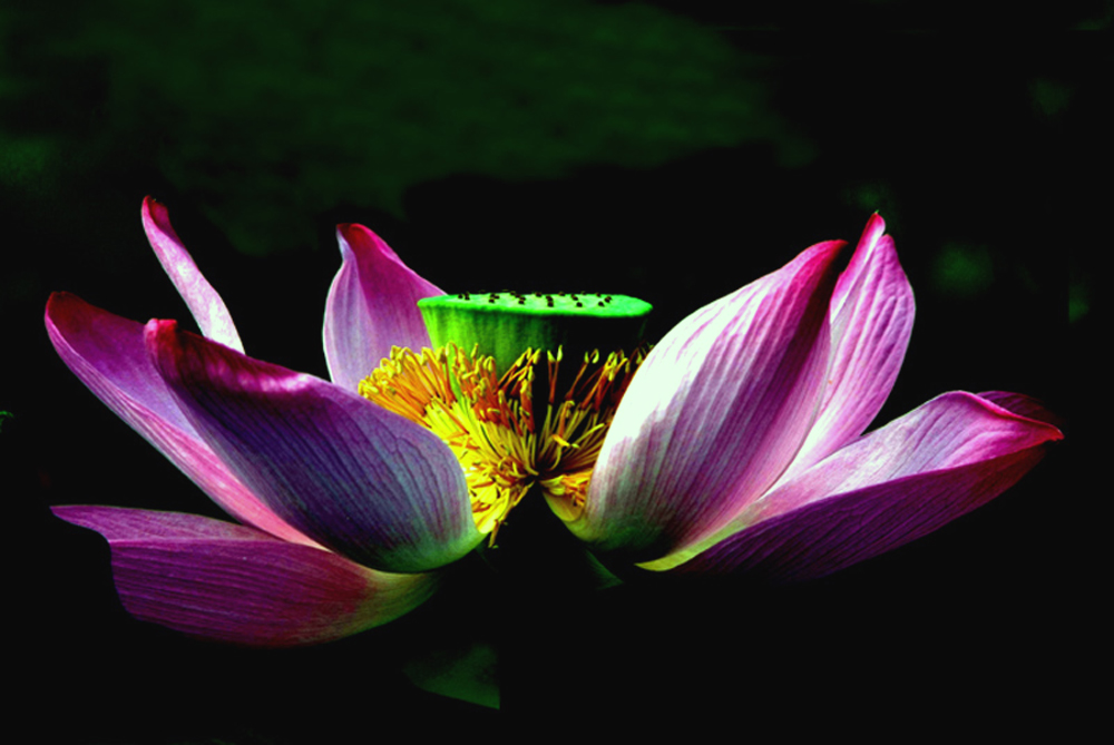 DSCF8647.JPG