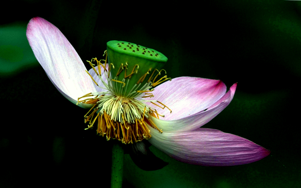 DSCF8698.JPG