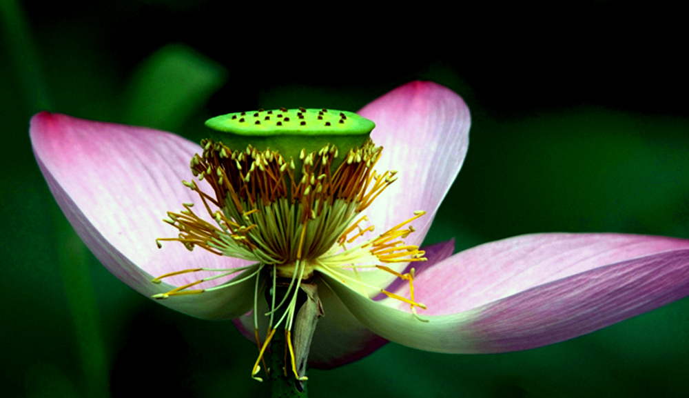 DSCF8712.JPG