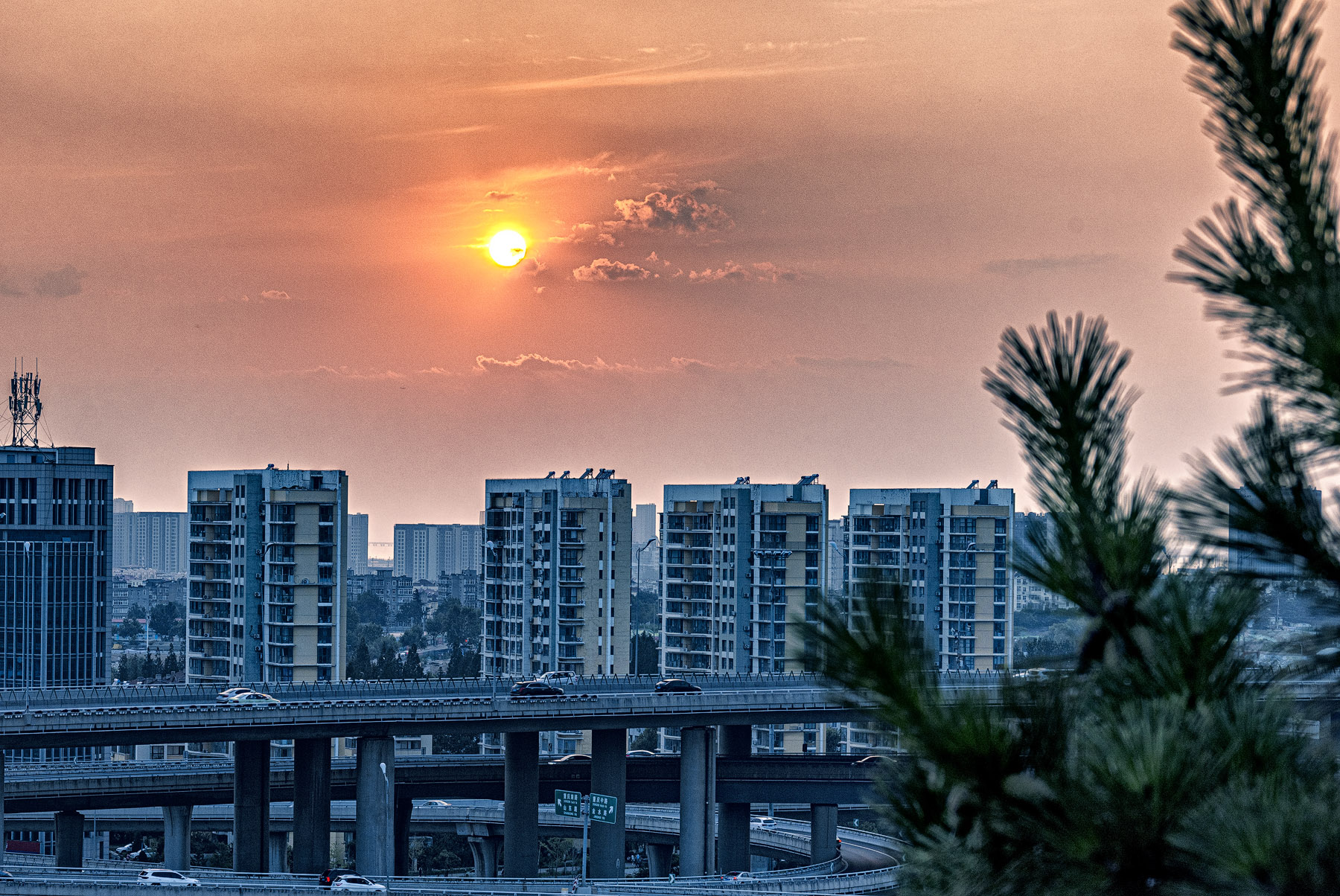 DSC_6577-4.jpg