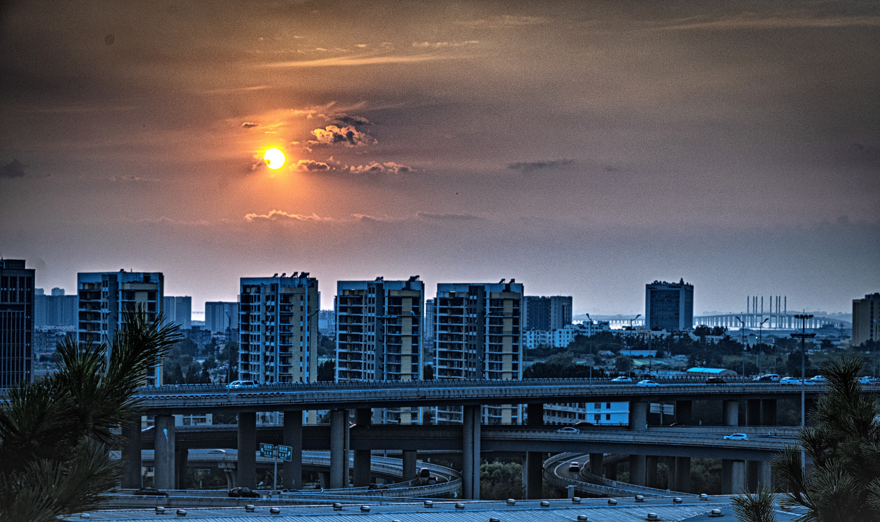 DSC_6578-1.jpg