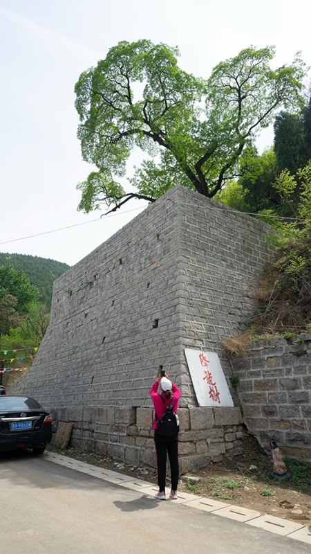 DSC05177副本11.jpg