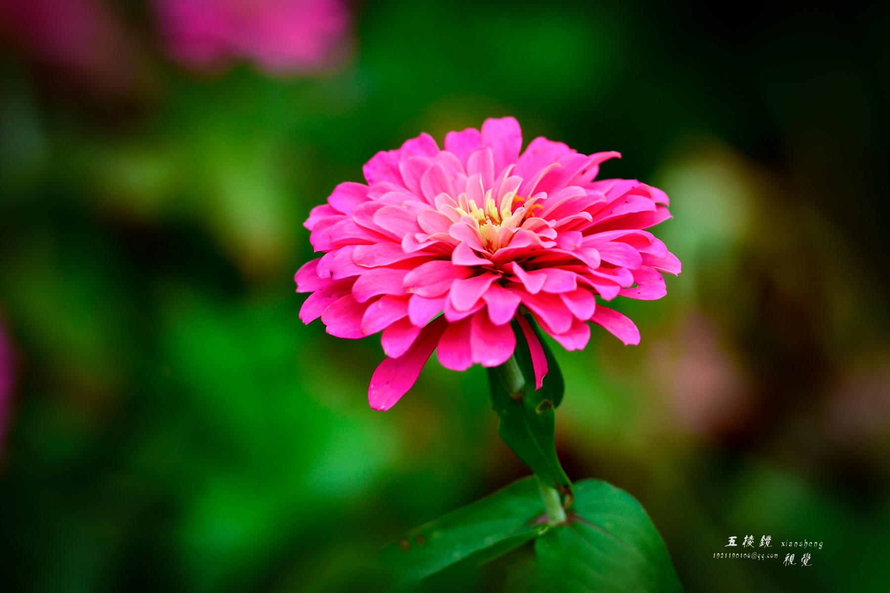 DSC_2308.JPG
