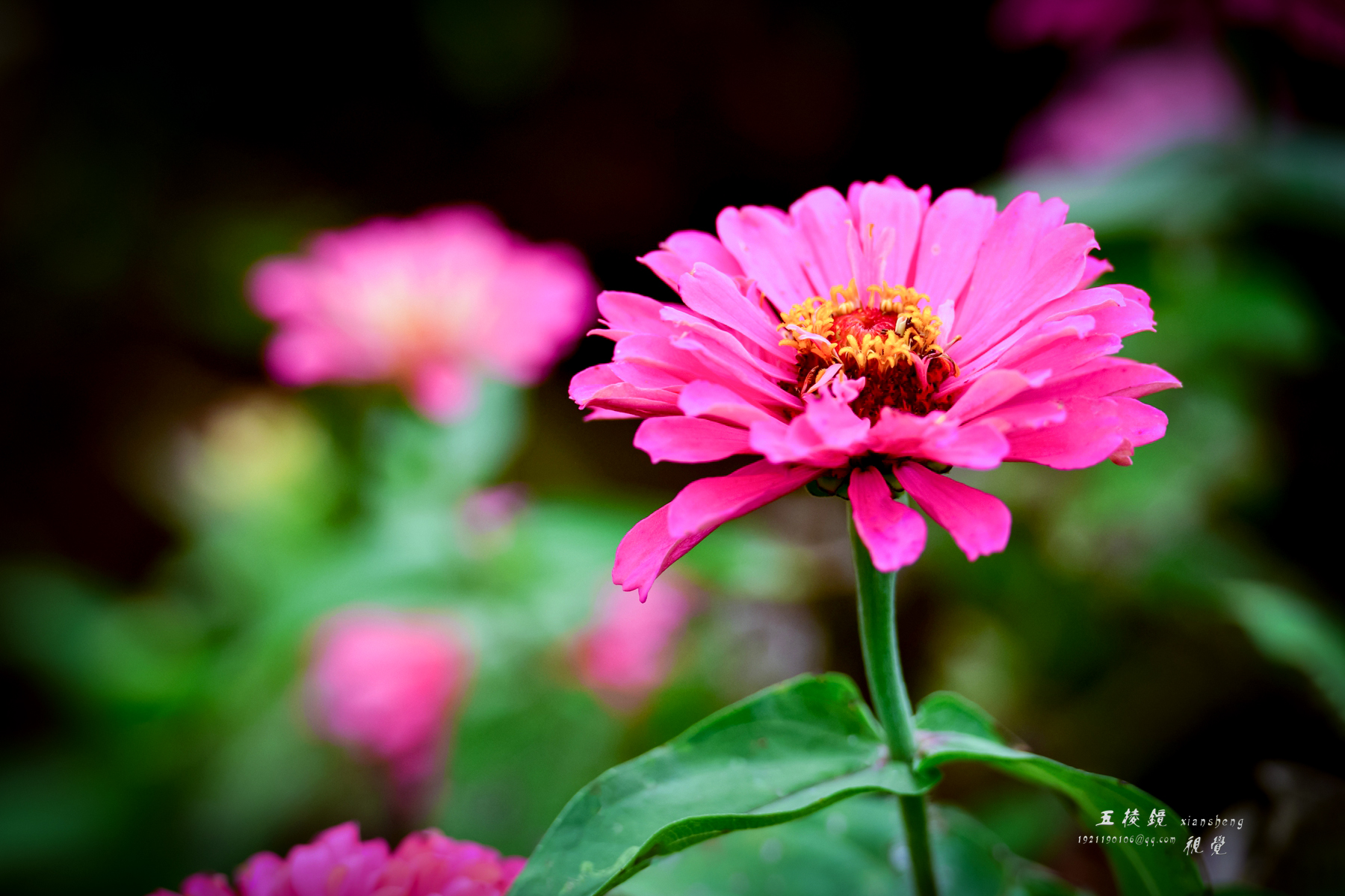 DSC_2326.JPG