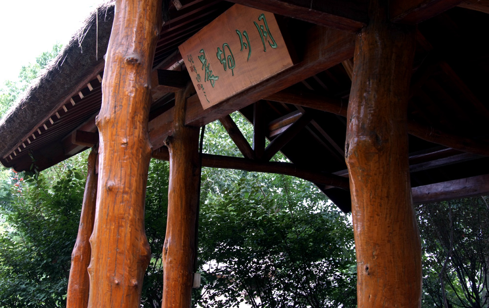 DSCF0173.JPG