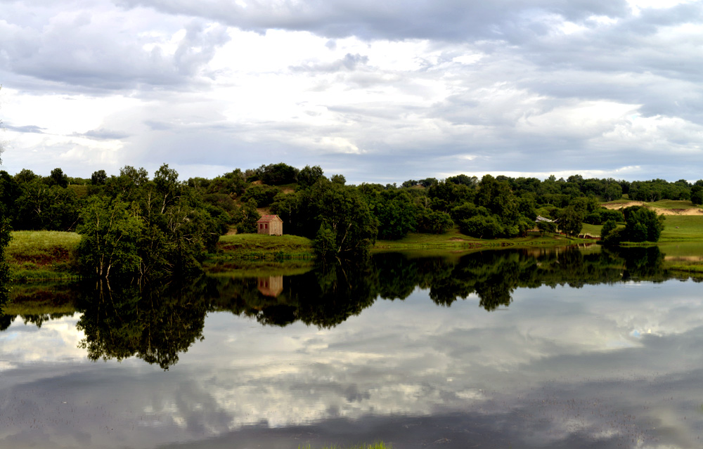 _DSC7608.JPG