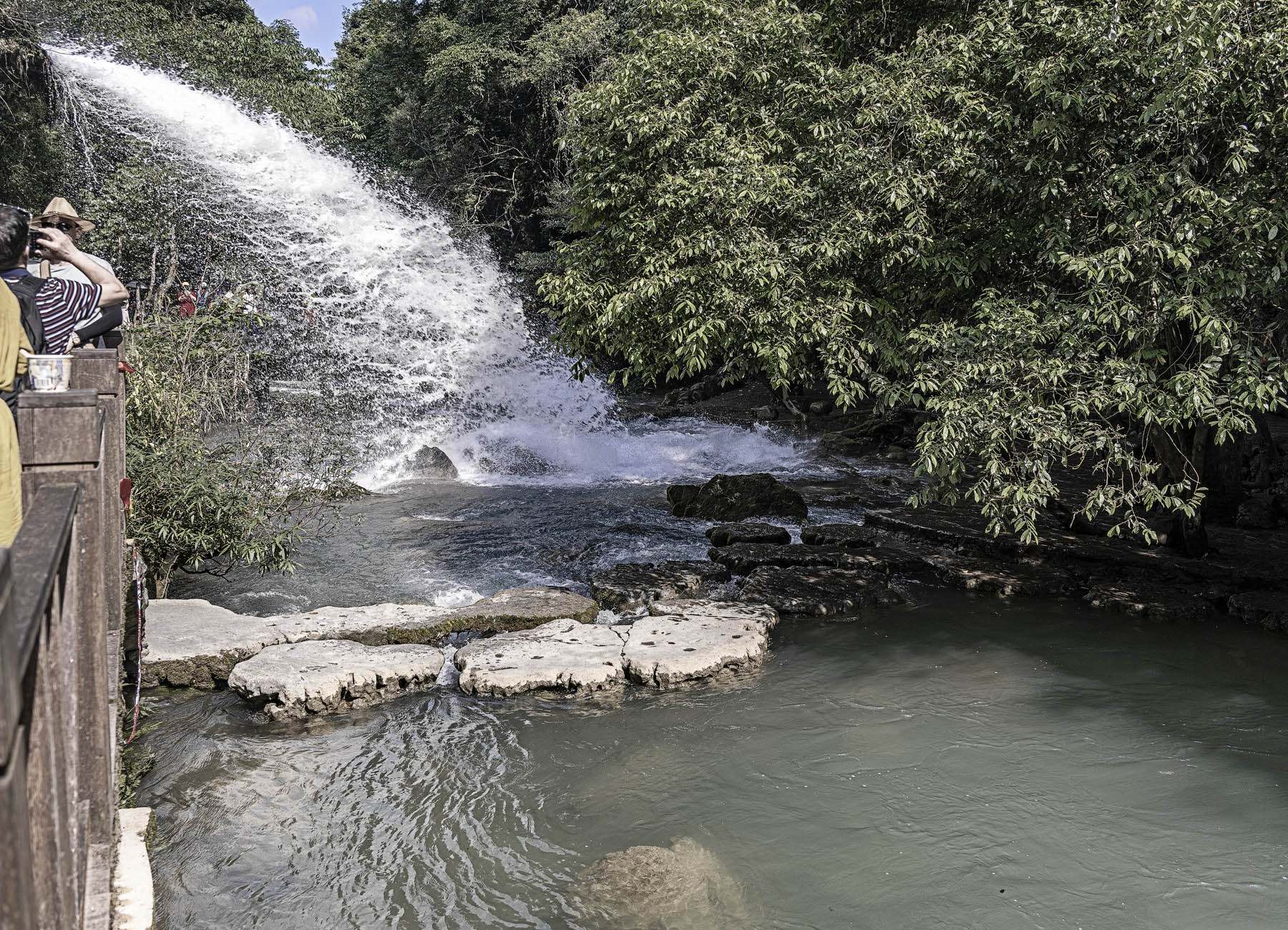 DSC_3247-1.jpg
