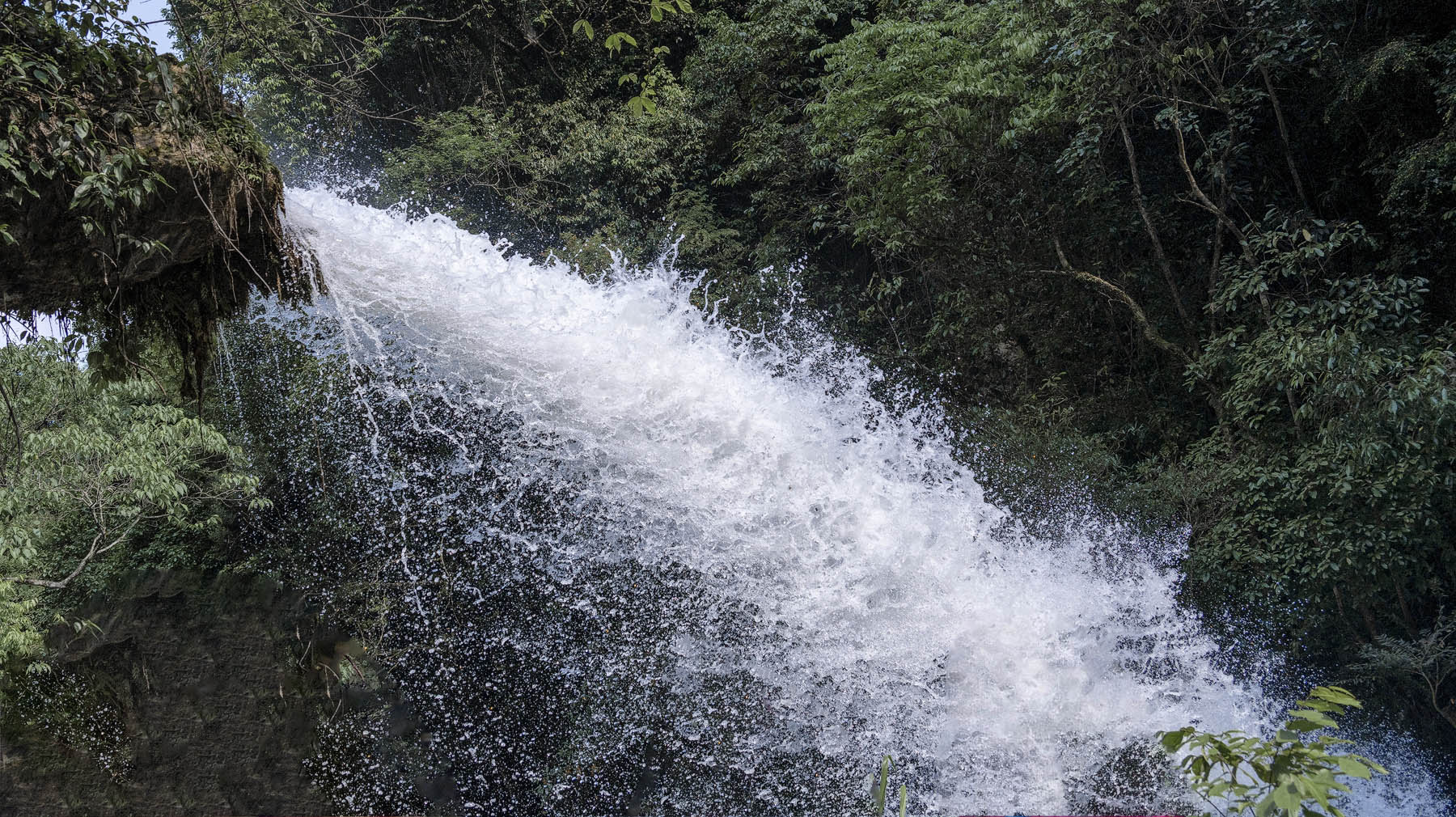 DSC_3249-1.jpg