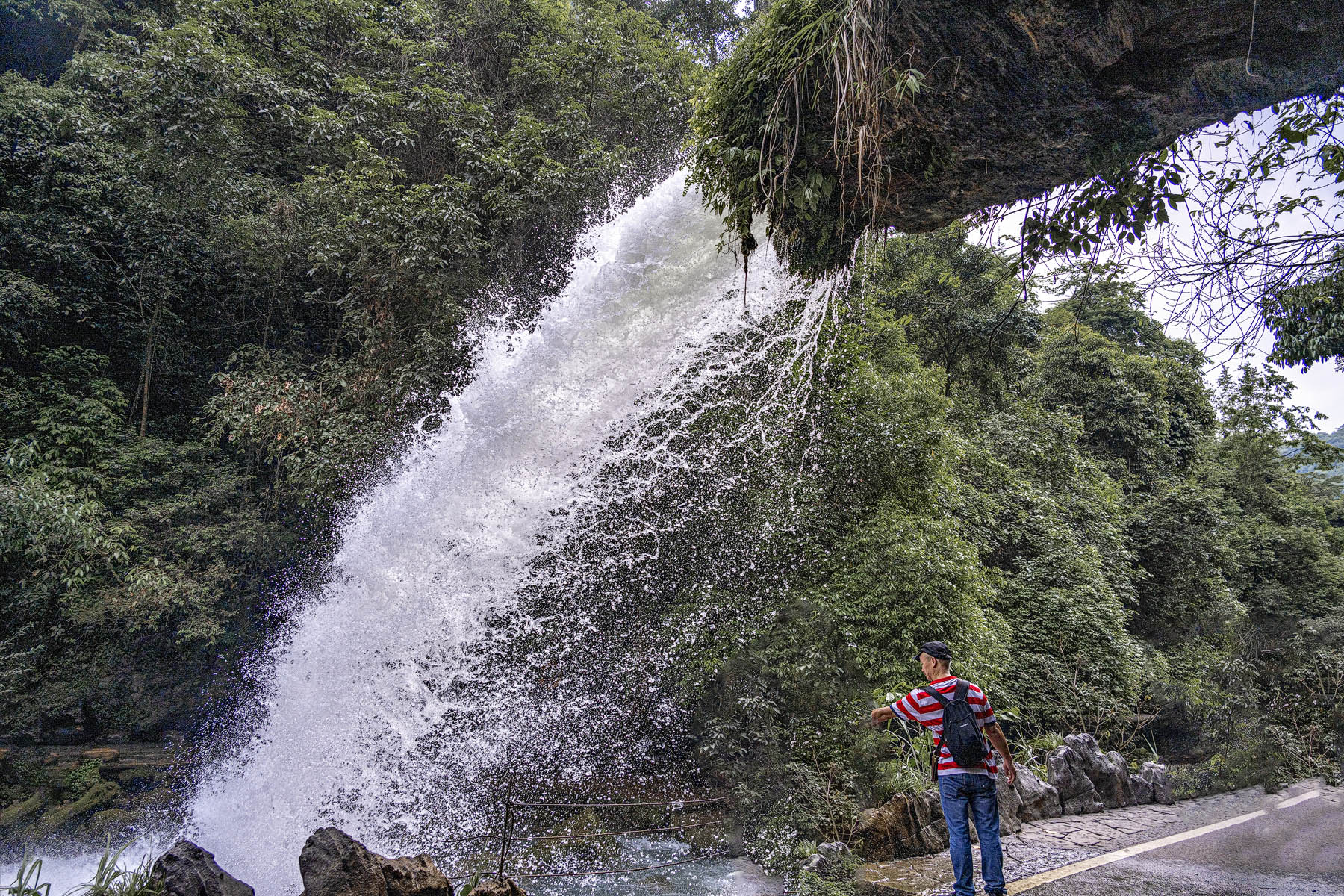 DSC_3252-1.jpg