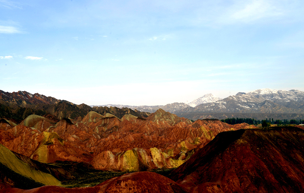 _DSC1555.JPG