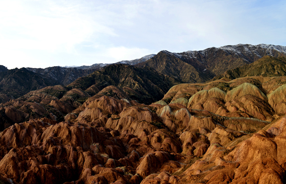 _DSC1596.JPG