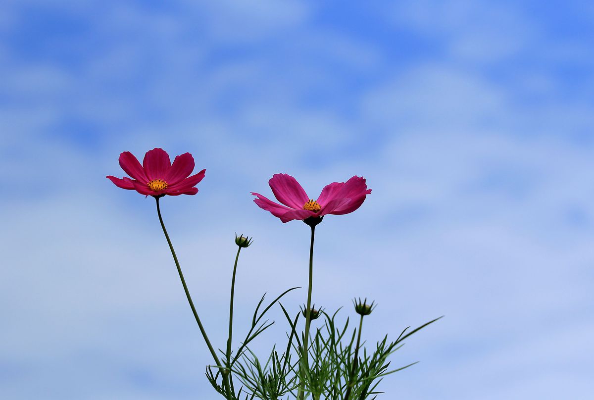 IMG_2272_副本.jpg