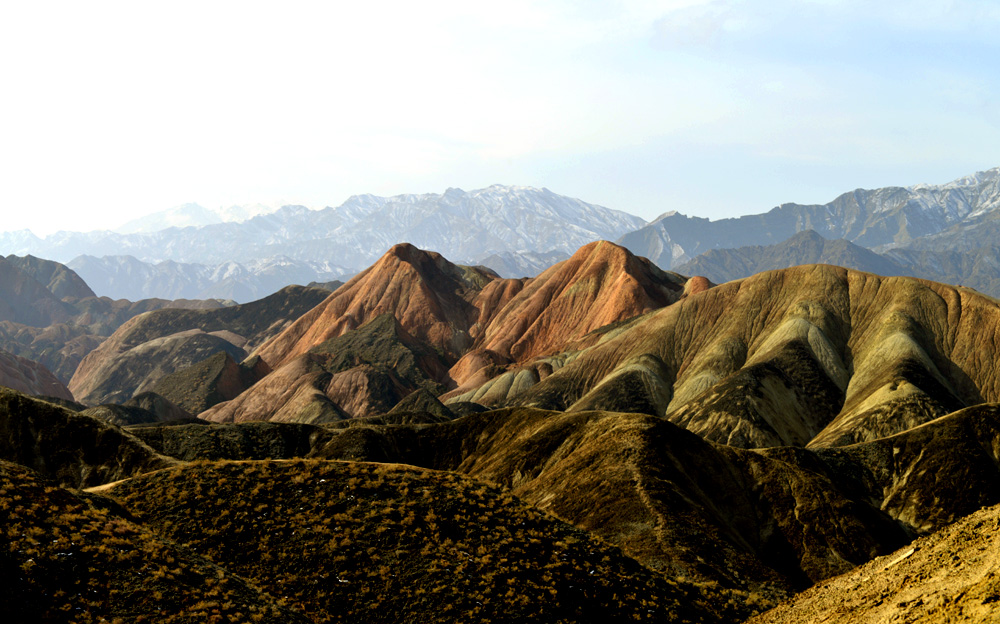 _DSC1800.JPG
