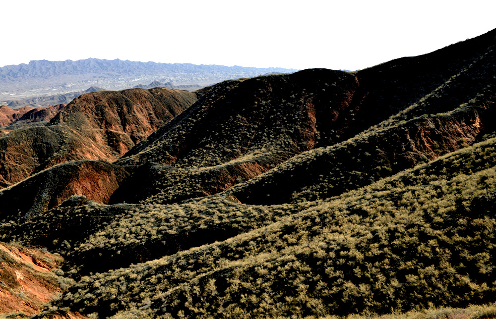 _DSC1845.JPG