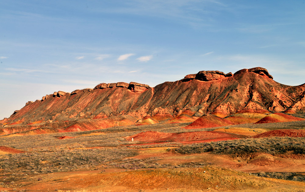 _DSC1979.JPG