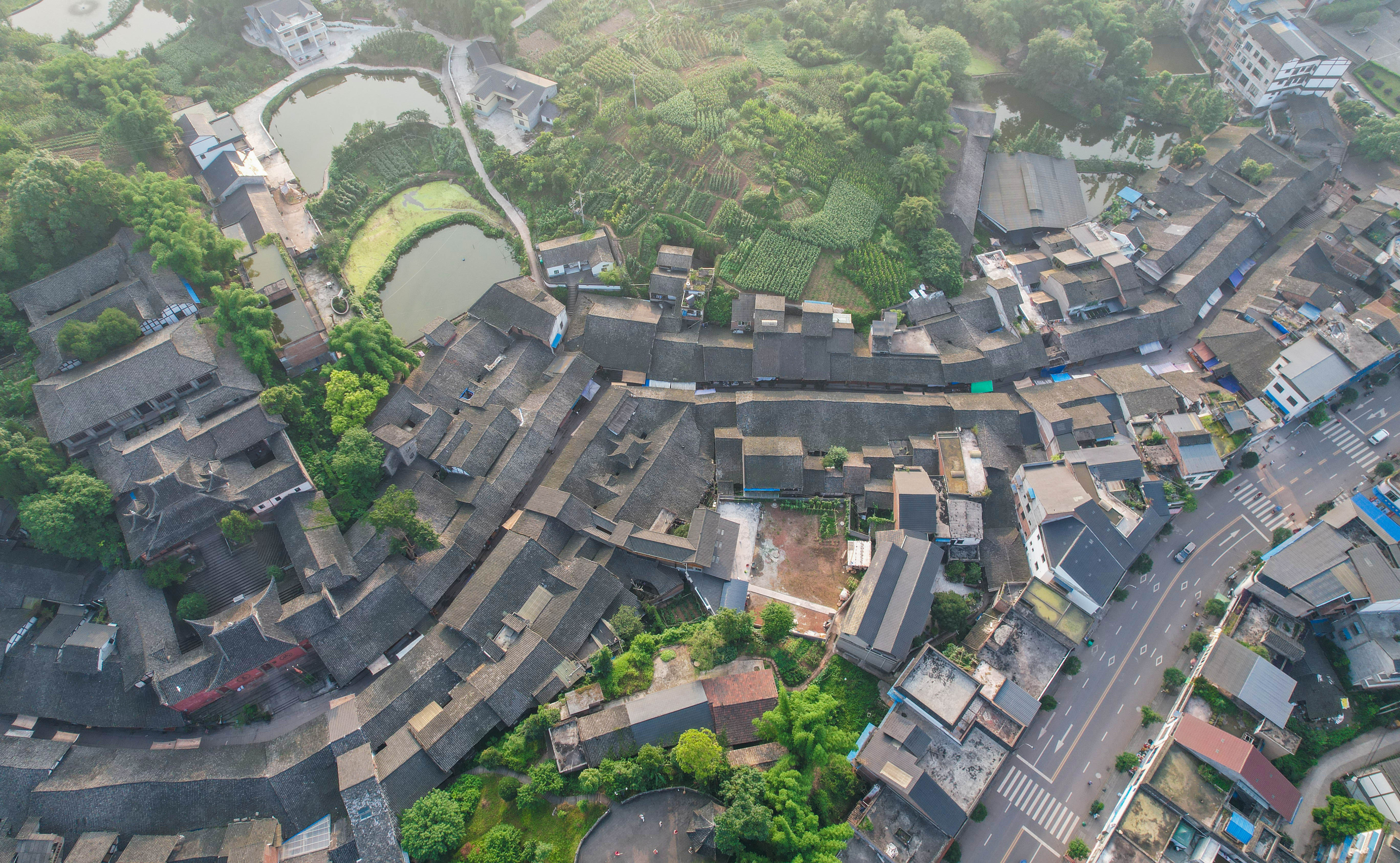 11DJI_0343.jpg