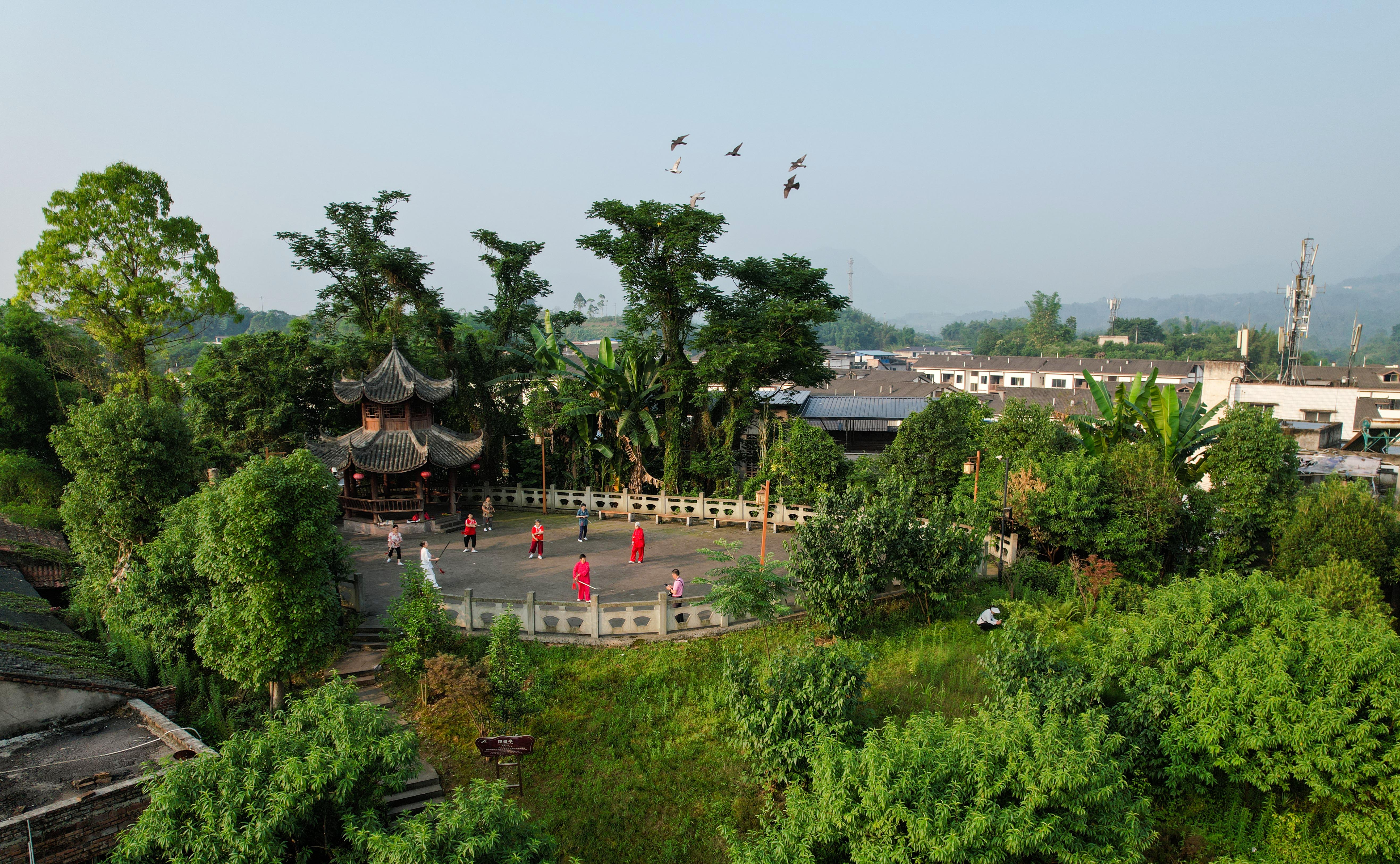 11DJI_0350.jpg