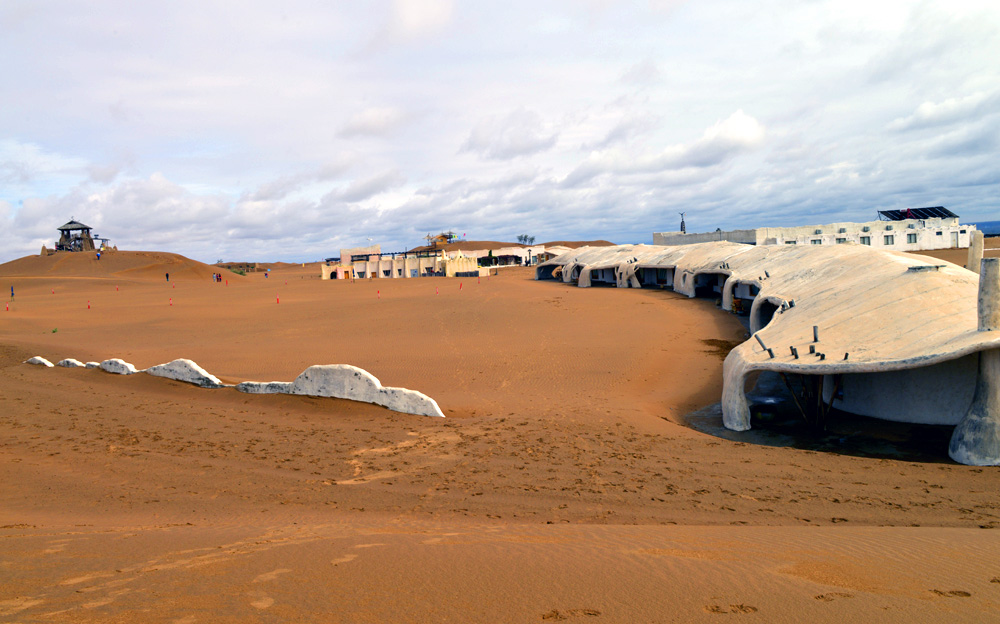 _DSC1504.JPG