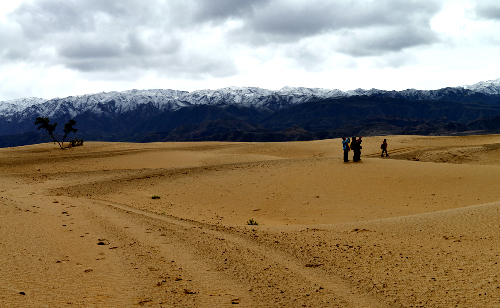 _DSC1514.JPG