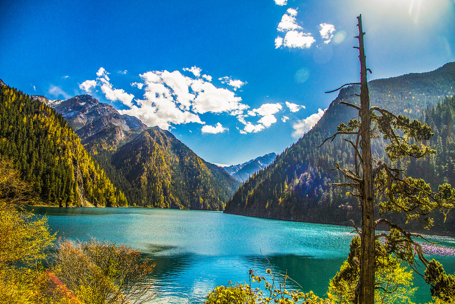 _MG_1043.jpg