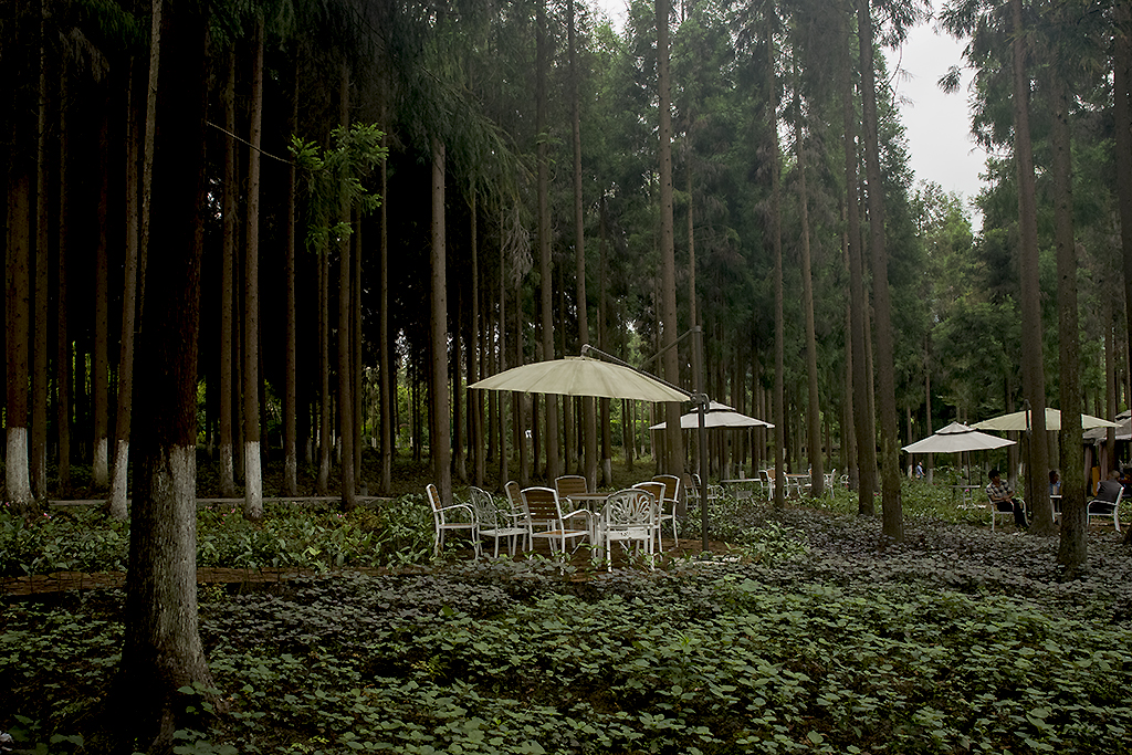 IMGP2624副本.jpg
