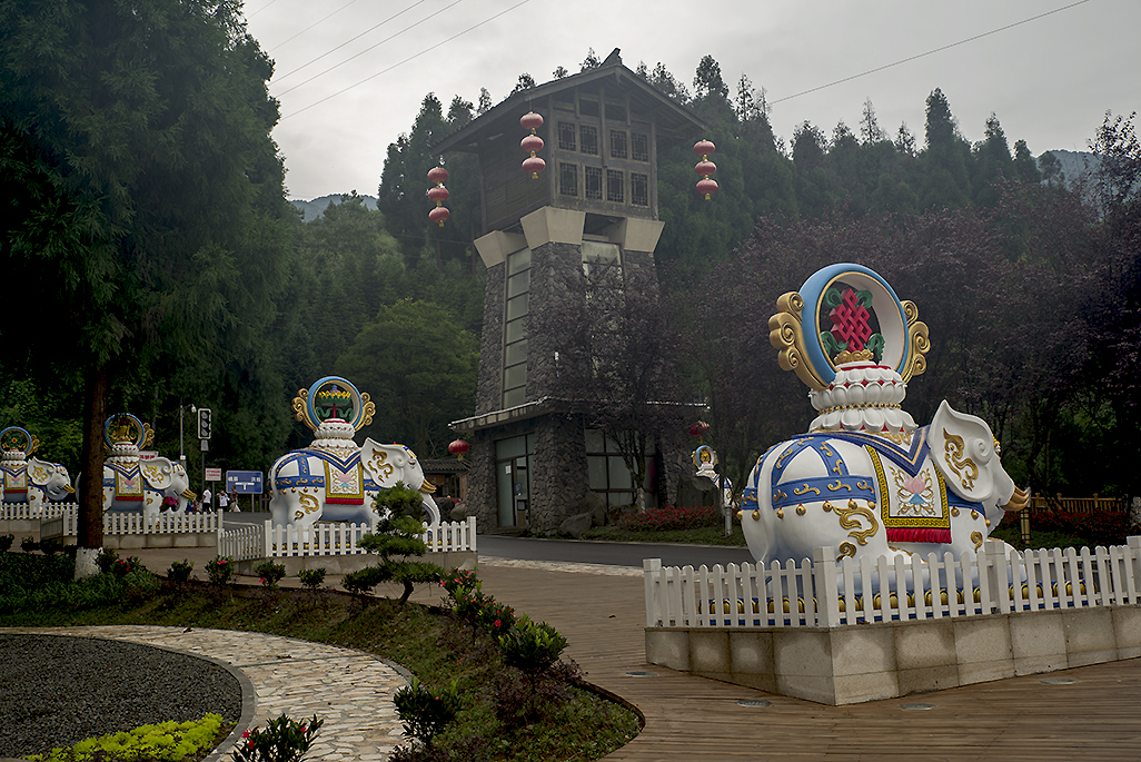 IMGP2674副本.jpg
