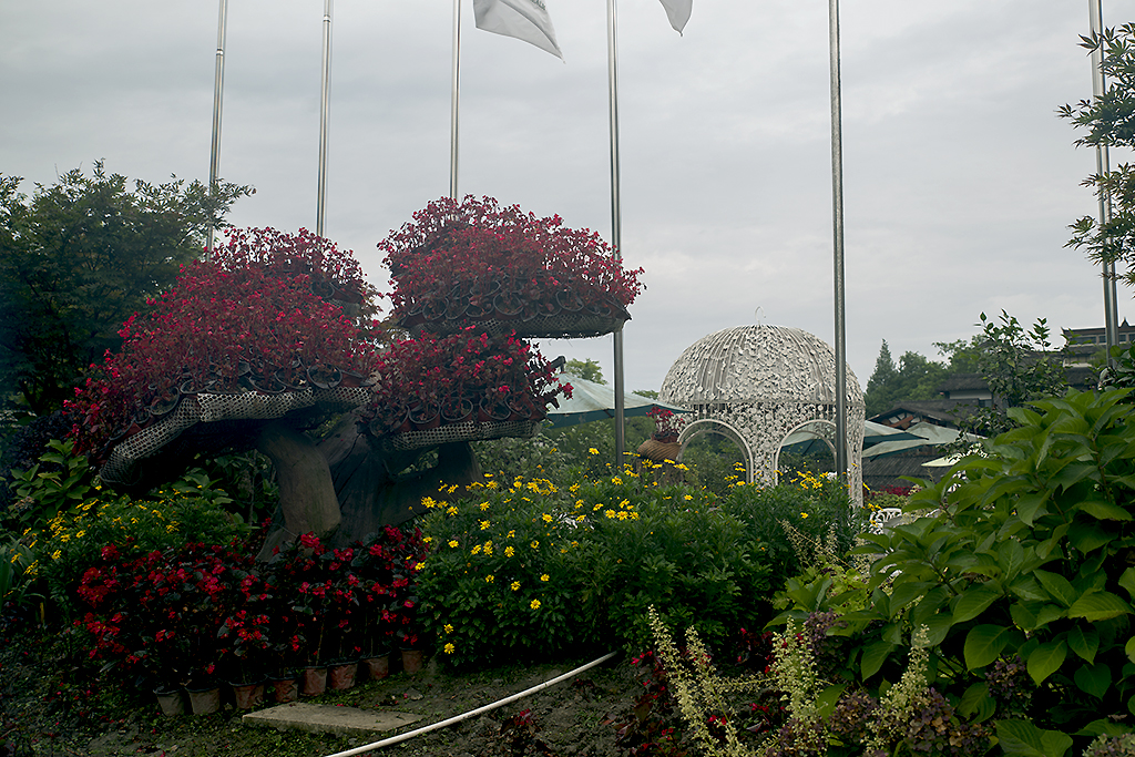 IMGP2698副本.jpg