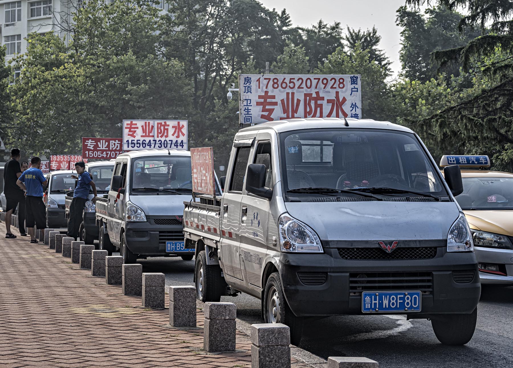 DSC_6476-1.jpg