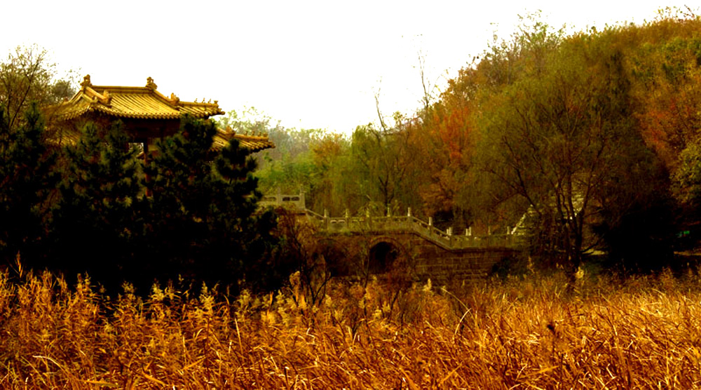 DSCF2100.JPG