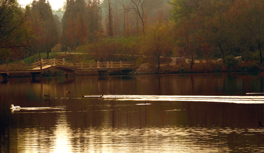 DSCF2142.JPG