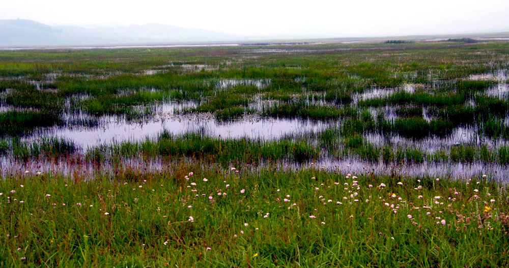 DSCF7580.JPG